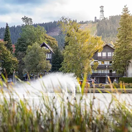 Apartament Hexenglueck Hahnenklee By Interhome Goslar